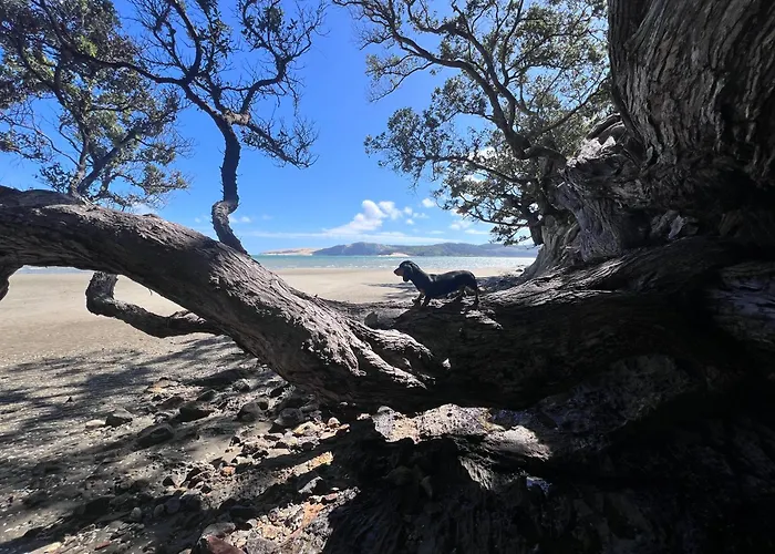 \'Noni\'S House\' Coastal Opononi Hokianga
