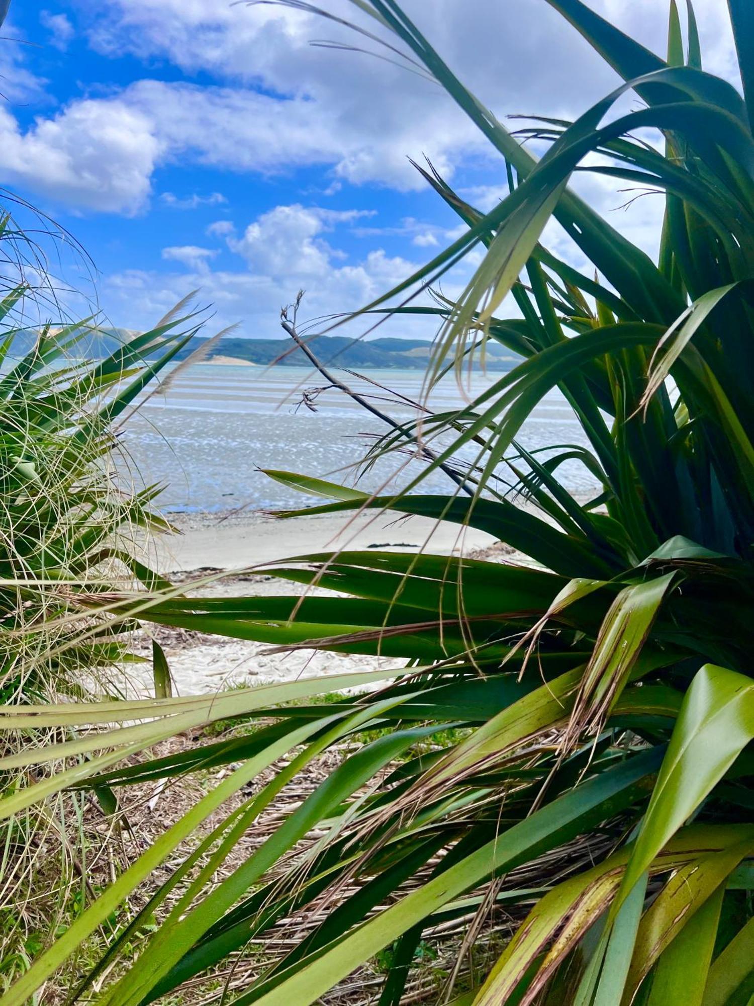 'noni's House' Coastal Hokianga Holiday home Opononi