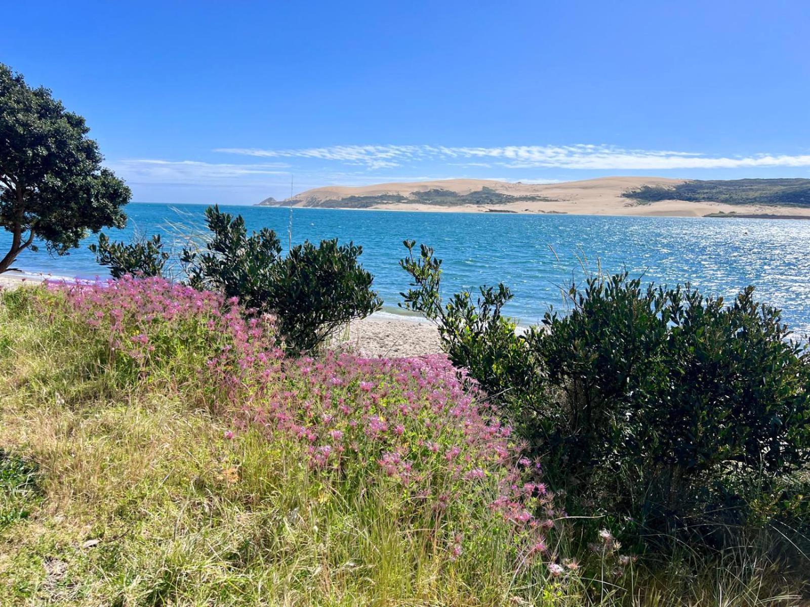'noni's House' Coastal Hokianga Holiday home *