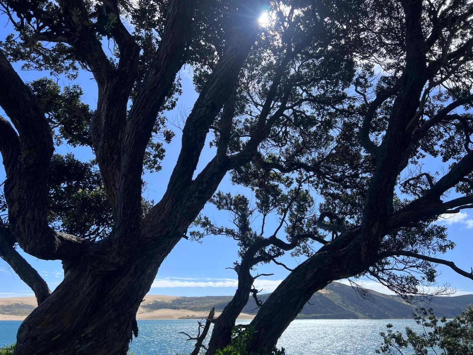 'noni's House' Coastal Hokianga Holiday home *