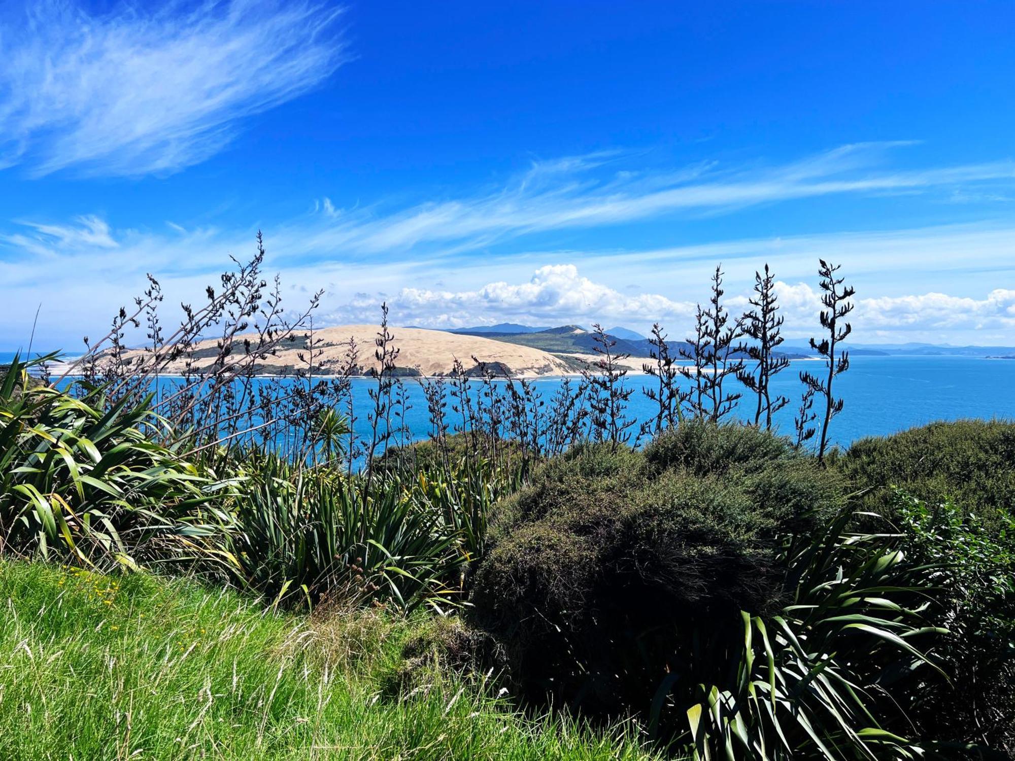 'noni's House' Coastal Hokianga Holiday home *