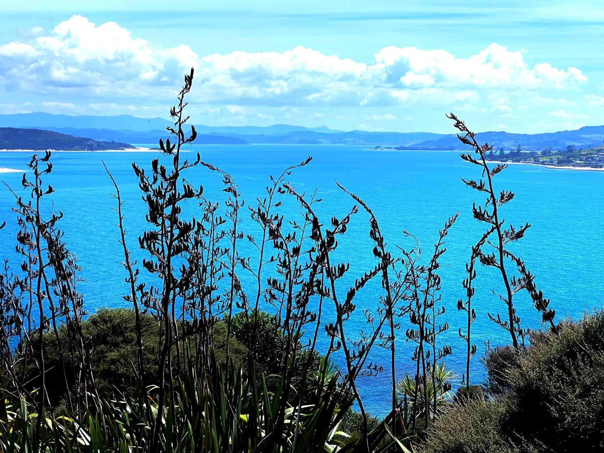 Holiday home 'noni's House' Coastal Hokianga *