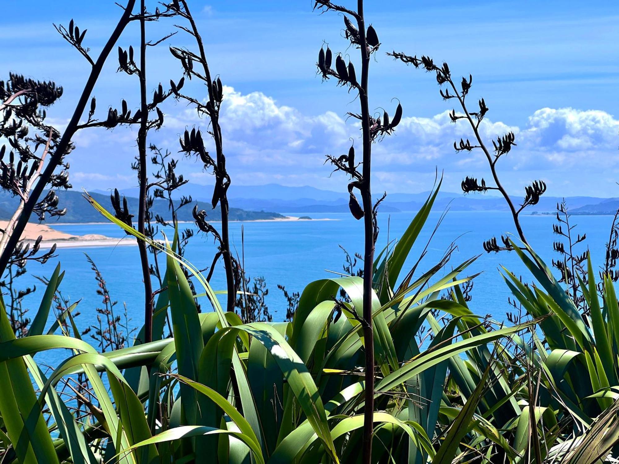 'noni's House' Coastal Hokianga * Opononi