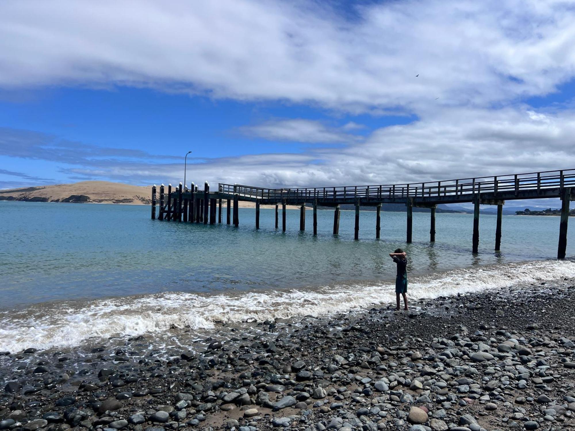 'noni's House' Coastal Hokianga * Opononi