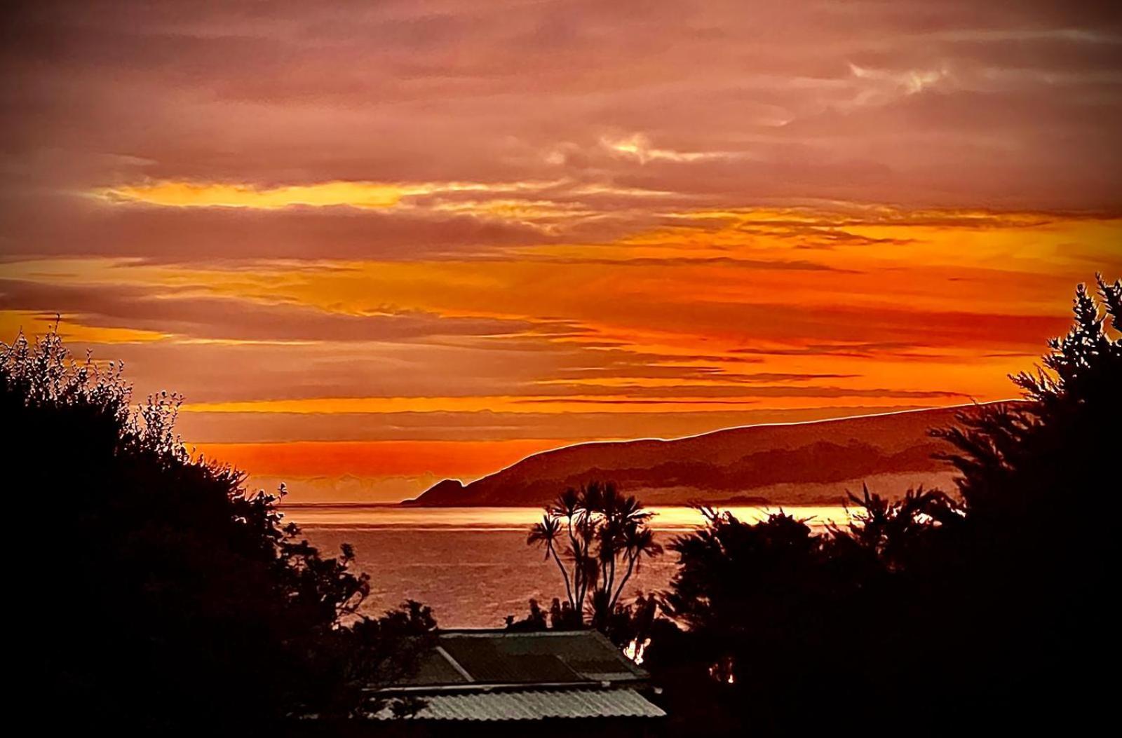 'noni's House' Coastal Hokianga Holiday home *
